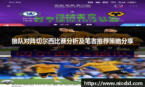 狼队对阵切尔西比赛分析及笔者推荐策略分享