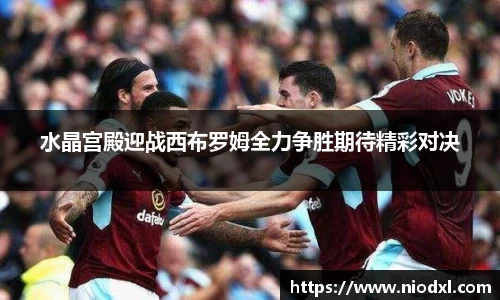 水晶宫殿迎战西布罗姆全力争胜期待精彩对决